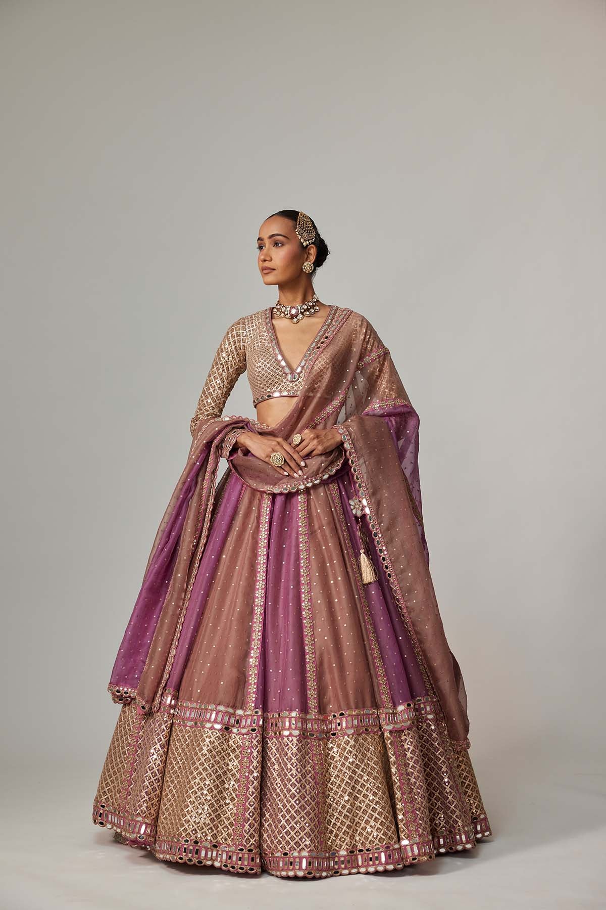 V Vani Vats Mud Mauve Multicolor Chita Sequin Scattered Lehenga Set With V Neck Full Sleeves indian designer wear online shopping melange singapore 