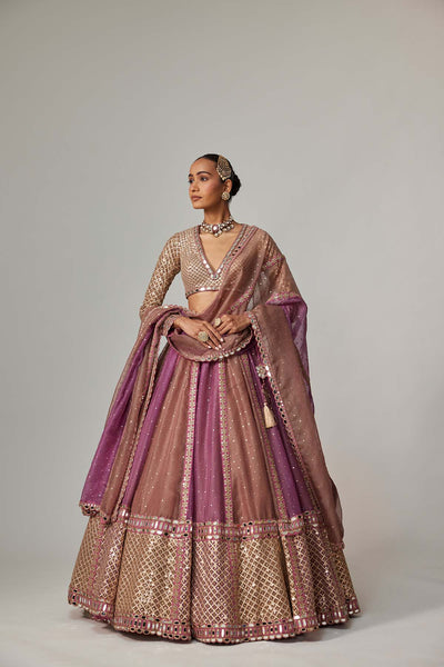 V Vani Vats Mud Mauve Multicolor Chita Sequin Scattered Lehenga Set With V Neck Full Sleeves indian designer wear online shopping melange singapore 