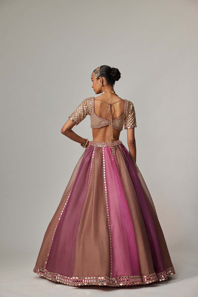 V Vani Vats Mud Mauve Multicolor Lehenga With Elbow Sleeve Blouse indian designer wear online shopping melange singapore 