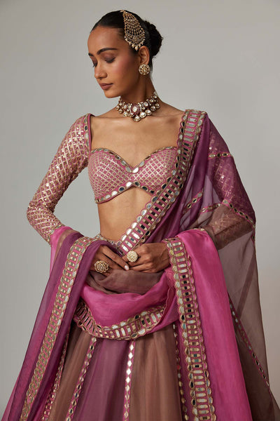 V Vani Vats Mud Mauve Multicolor Lehenga With Elbow Sleeve Blouse indian designer wear online shopping melange singapore 
