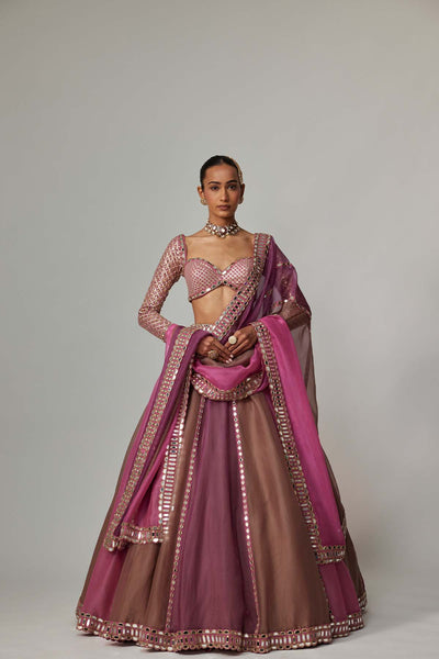 V Vani Vats Mud Mauve Multicolor Lehenga With Elbow Sleeve Blouse indian designer wear online shopping melange singapore 