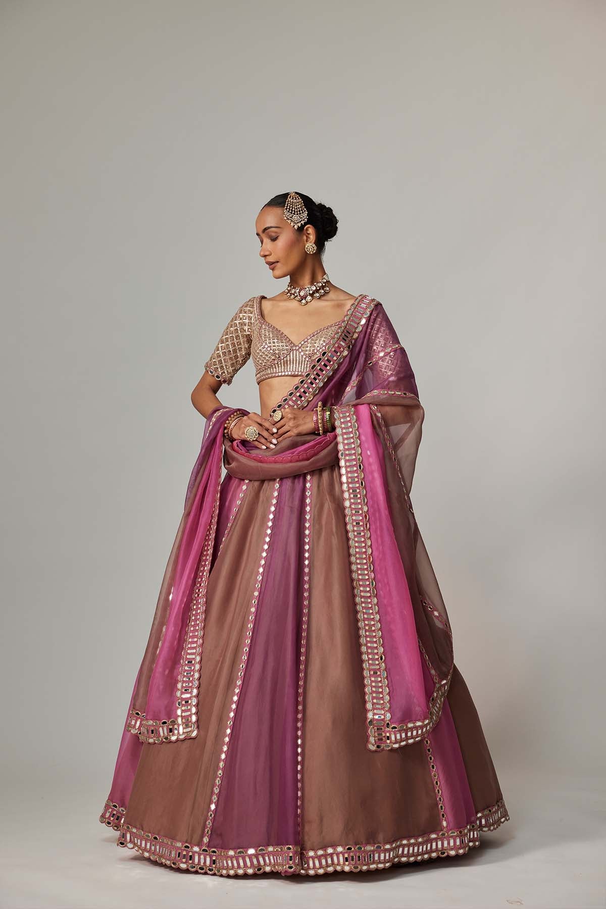 V Vani Vats Mud Mauve Multicolor Lehenga With Elbow Sleeve Blouse indian designer wear online shopping melange singapore 