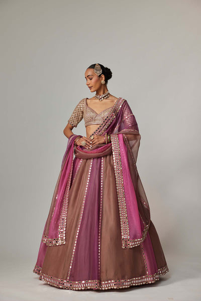 V Vani Vats Mud Mauve Multicolor Lehenga With Elbow Sleeve Blouse indian designer wear online shopping melange singapore 