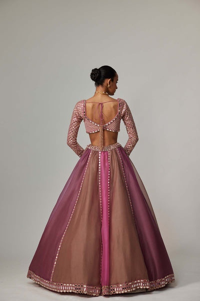 V Vani Vats Mud Mauve Multicolor Lehenga With Sweetheart Full Sleeve Blouse indian designer wear online shopping melange singapore 