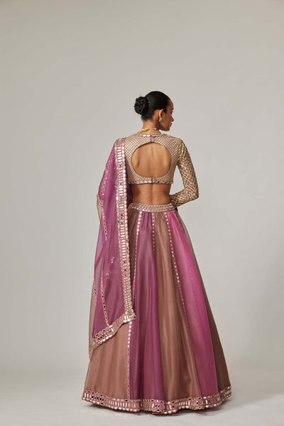 V Vani Vats Mud Mauve Multicolor Lehenga With V Neck Blouse indian designer wear online shopping melange singapore 