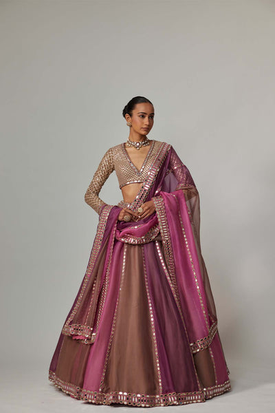 V Vani Vats Mud Mauve Multicolor Lehenga With V Neck Blouse indian designer wear online shopping melange singapore 