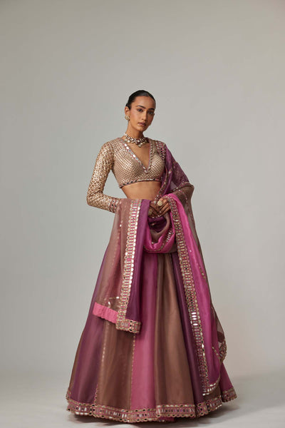 V Vani Vats Mud Mauve Multicolor Lehenga With V Neck Blouse indian designer wear online shopping melange singapore 