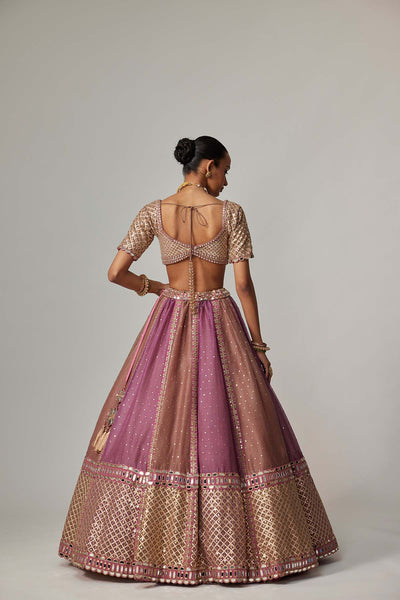 V Vani Vats Mud Mauve Multicolor Sequin Scatter Lehenga With Elbow Sleeve Blouse indian designer wear online shopping melange singapore 