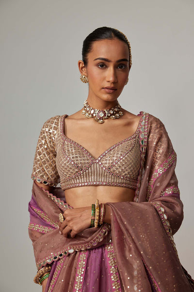 V Vani Vats Mud Mauve Multicolor Sequin Scatter Lehenga With Elbow Sleeve Blouse indian designer wear online shopping melange singapore 
