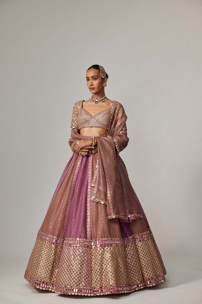 V Vani Vats Mud Mauve Multicolor Sequin Scatter Lehenga With Elbow Sleeve Blouse indian designer wear online shopping melange singapore 
