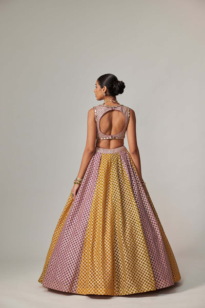V Vani Vats Mustard Multicolor Crop Top With Dupatta indian designer wear online shopping melange singapore 
