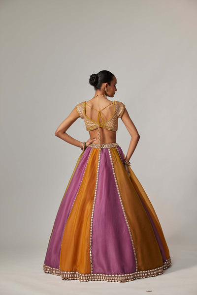 V Vani Vats Mustard Multicolor Linear Lehenga With Cap Sleeve Blouse indian designer wear online shopping melange singapore 