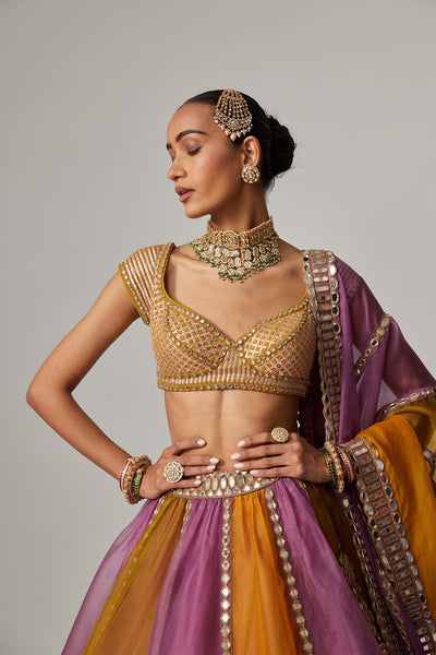 V Vani Vats Mustard Multicolor Linear Lehenga With Cap Sleeve Blouse indian designer wear online shopping melange singapore 