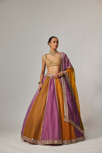 V Vani Vats Mustard Multicolor Linear Lehenga With Cap Sleeve Blouse indian designer wear online shopping melange singapore 