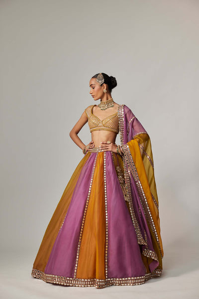 V Vani Vats Mustard Multicolor Linear Lehenga With Cap Sleeve Blouse indian designer wear online shopping melange singapore 
