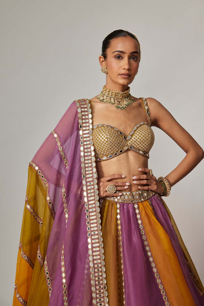V Vani Vats Mustard Multicolor Linear Lehenga With Sweetheart Neck Blouse indian designer wear online shopping melange singapore 
