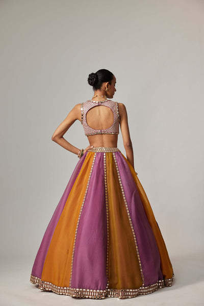 V Vani Vats Mustard Multicolor Linear Lehenga With V Neck Blouse indian designer wear online shopping melange singapore 
