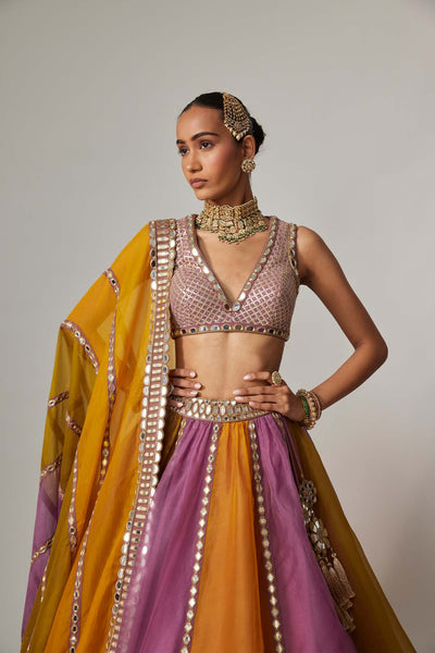 V Vani Vats Mustard Multicolor Linear Lehenga With V Neck Blouse indian designer wear online shopping melange singapore 