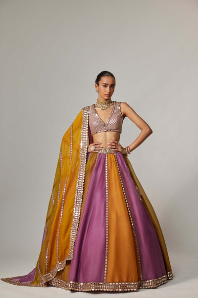 V Vani Vats Mustard Multicolor Linear Lehenga With V Neck Blouse indian designer wear online shopping melange singapore 