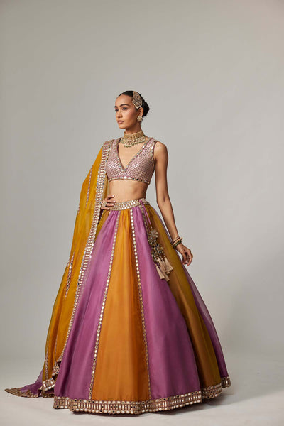 V Vani Vats Mustard Multicolor Linear Lehenga With V Neck Blouse indian designer wear online shopping melange singapore 