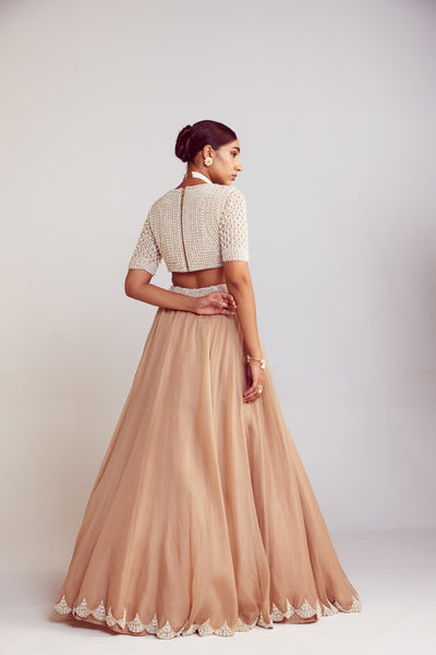 V Vani Vats Beige Pearl Embellished Organza Lehenga Paired With V Neck Blouse With Elbow Sleeves Indian designer wear online shopping melange singapore