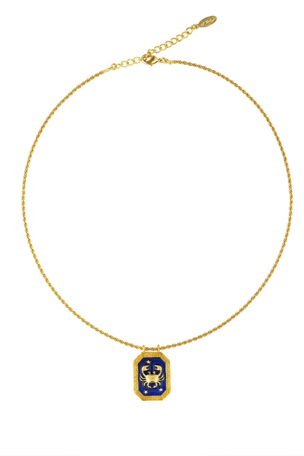 Zariin Cancer Zodiac Tablet Reversible Necklace with Carnelian indian designer wear online shopping melange singapore 