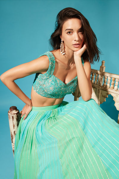 Chamee and Palak Haya Skirt Set indian designer wear online shopping melange singapore