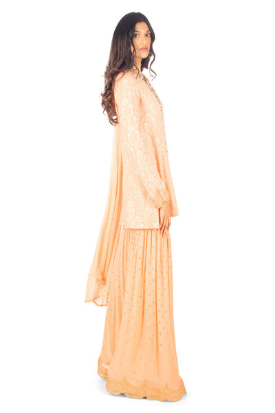Monisha Jaising  Peach Chikankari Sharara online shopping melange singapore indian designer wear