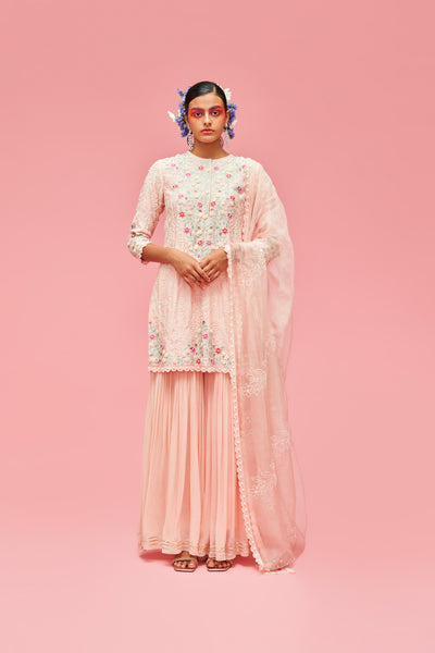 nachiket barve Nishat Bagh Embroidered Pearl Jaal Straight Cut Short Kurta With Gharara And Dupatta peach festive fusion Indian designer wear online shopping melange singapore