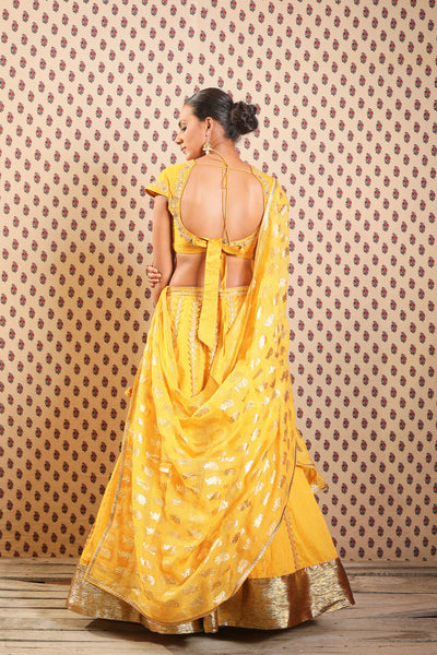 Nikasha Pitambari cotton silk embroidered blouse with organdi lehenga and dupatta And Dupatta festive Indian designer wear online shopping melange singapore