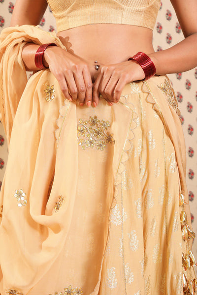 Nikasha Sand Brown Cotton Silk Lehenga With Rawsilk Bralette And Dupatta festive Indian designer wear online shopping melange singapore