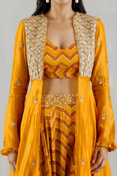 Punit Balana Mustard Embellished Organza Cape With Bralette And Cowl Pants festive indian designer wear online shopping melange singapore