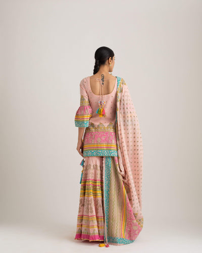 Sukriti & Aakriti - Sky in pink- Melange Singapore - Indian Designer Wear Online Shopping