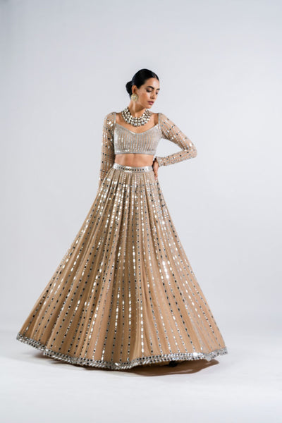 V Vani Vats Beige  Linear Drop Lehenga Set Indian designer wear online shopping melange singapore