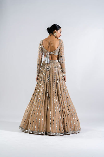 V Vani Vats Beige  Linear Drop Lehenga Set Indian designer wear online shopping melange singapore