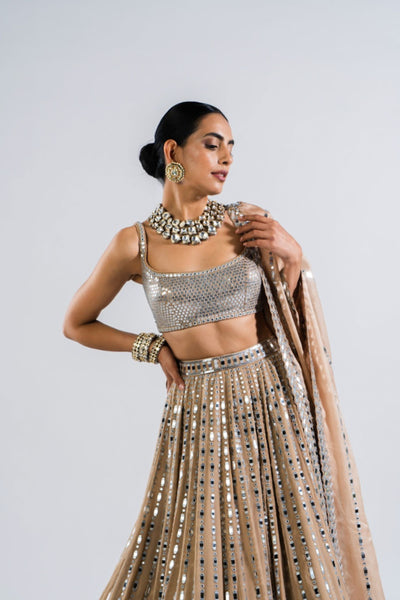 V Vani Vats Beige Linear Drop Lehenga With Metallic Blouse Indian designer wear online shopping melange singapore