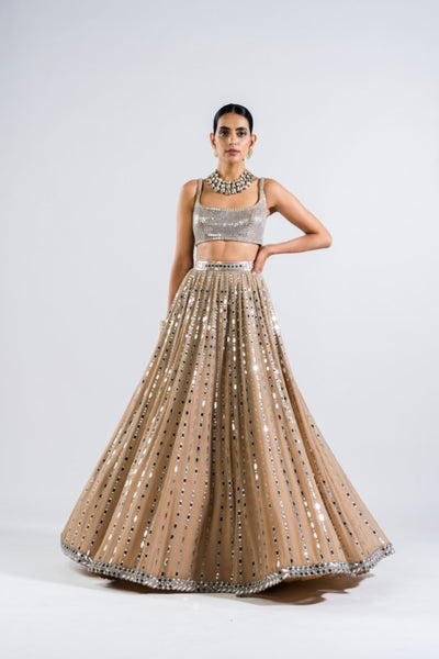 V Vani Vats Beige Linear Drop Lehenga With Metallic Blouse Indian designer wear online shopping melange singapore