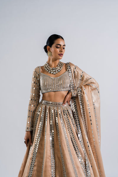 V Vani Vats Beige Mirror Seam Lehenga SetIndian designer wear online shopping melange singapore