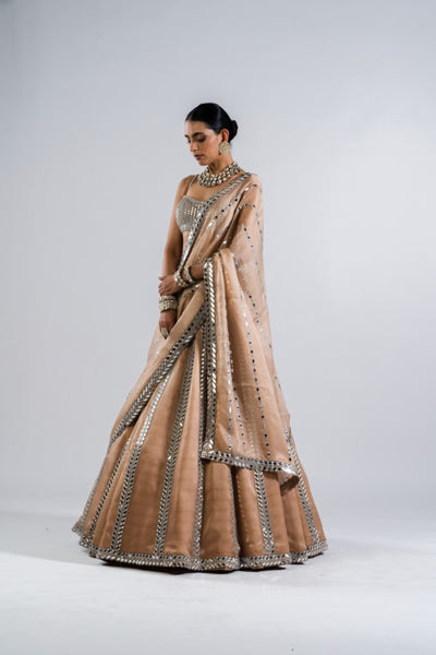 V Vani Vats Beige Mirror Seam Lehenga  With Mirror Blouse Indian designer wear online shopping melange singapore