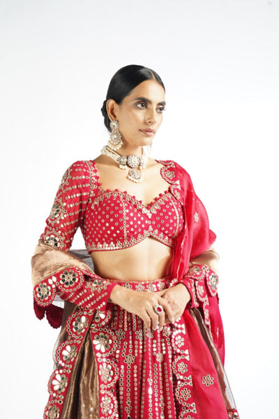 V Vani Vats Crimson Red Small Flower Linear Lehenga Set Indian designer wear online shopping melange singapore