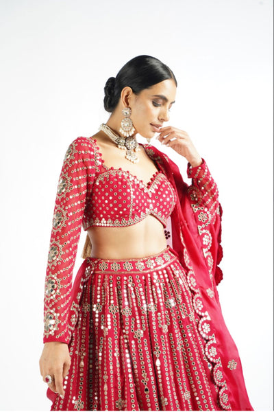 V Vani Vats Crimson Red Small Flower Linear Lehenga Set Indian designer wear online shopping melange singapore