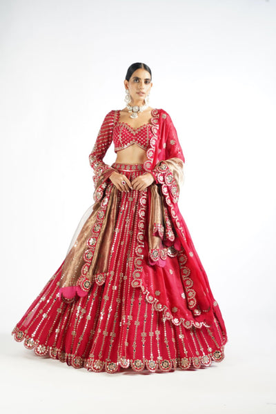 V Vani Vats Crimson Red Small Flower Linear Lehenga Set Indian designer wear online shopping melange singapore