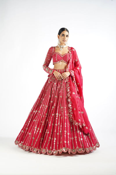 V Vani Vats Crimson Red Small Flower Linear Lehenga Set Indian designer wear online shopping melange singapore