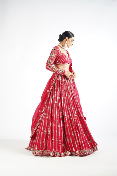 V Vani Vats Crimson Red Small Flower Linear Lehenga Set Indian designer wear online shopping melange singapore