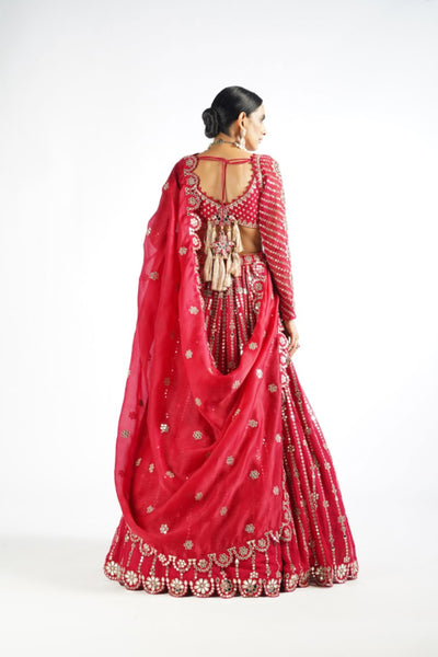 V Vani Vats Crimson Red Small Flower Linear Lehenga Set Indian designer wear online shopping melange singapore