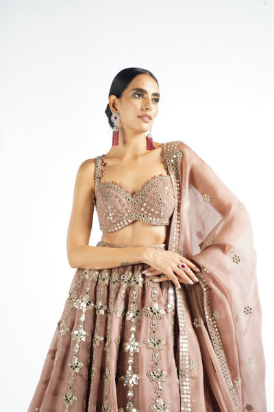 V Vani Vats Deep Beige Chandelier Drop Lehenga Set Indian designer wear online shopping melange singapore
