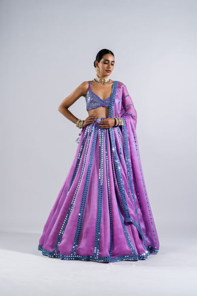V Vani Vats Mauve Mirror Seam Lehenga With Metallic Blouse Indian designer wear online shopping melange singapore