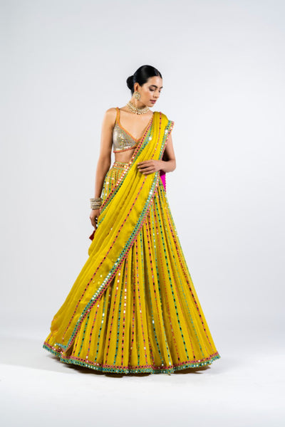 V Vani Vats Moss Green Linear Drop Lehenga With Metallic Blouse Indian designer wear online shopping melange singapore