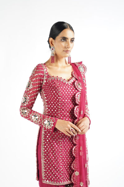 V Vani Vats Mellow Wine Sharara Set Indian designer wear online shopping melange singapore