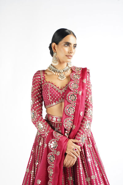 V Vani Vats Mellow Wine Small Flower Linear Lehenga Set Indian designer wear online shopping melange singapore